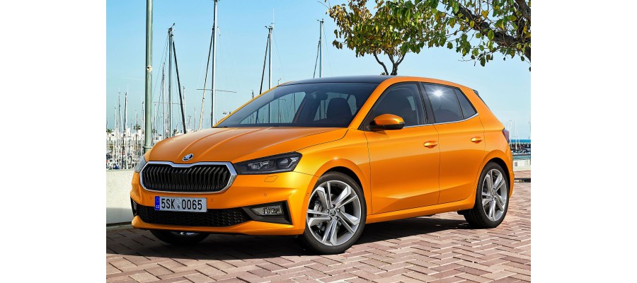 Skoda Fabia onderdelen